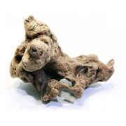 세틀 오푸와 유목 M (15~25cm)