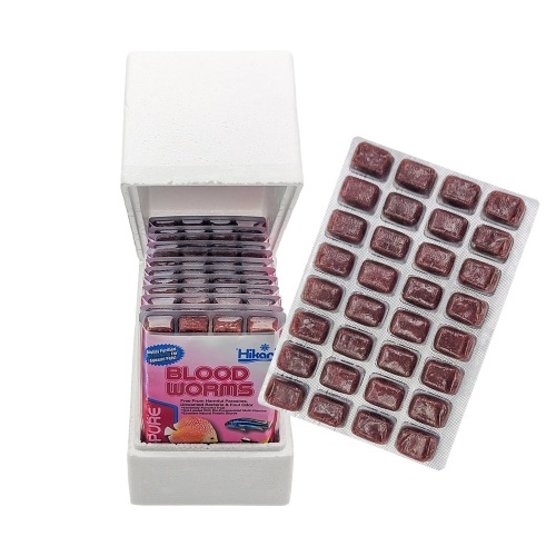 히카리 냉동 장구벌레 히카리 냉짱 1팩 / 2팩 / 6팩 / 12팩(1박스) 택 일 / 수입사 직수령 드라이아이스포장