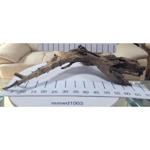 물멍 실사 청크 유목 mmwd1003