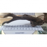 물멍 실사 청크 유목 mmwd1007