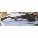 물멍 실사 청크 유목 mmwd1010