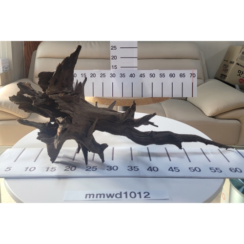 물멍 실사 청크 유목 mmwd1012