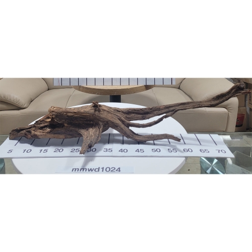 물멍 실사 청크 유목 mmwd1024