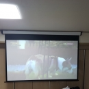 홈시어터용 - 경기 김포 가정집 프로젝터 벤큐 MW612+성지 와이드전동스크린 80인치 설치후기