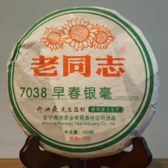 조춘은호 7038 2007 노동지 보이생차