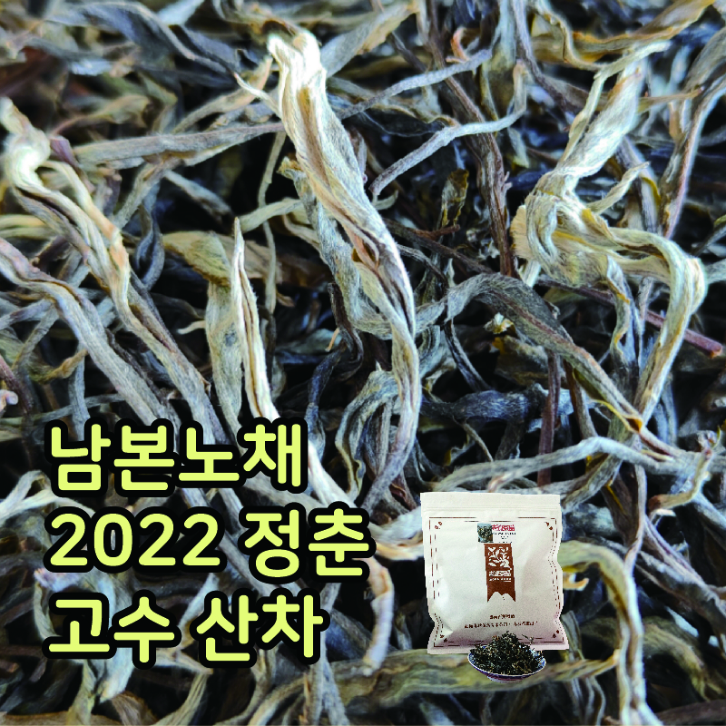 남본노채 2022 100g 산차 보이생차