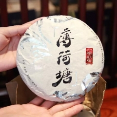 박하당 2026년 200g 보이차 고차수 생차