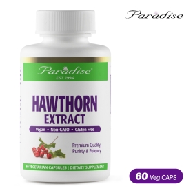 파라다이스허브 호손베리 60캡슐