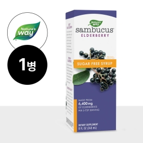 네이처스웨이 삼부커스 엘더베리 시럽(무설탕) 240ml