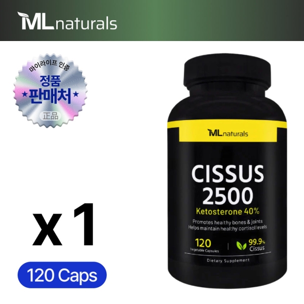 마이라이프 시서스 2500mg 120캡슐