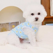 스마일쿨티(파랑)