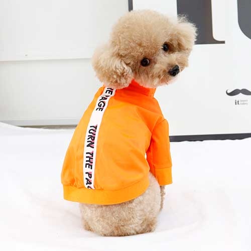 페이지바람막이(형광주황)