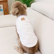 피그미티(보라)