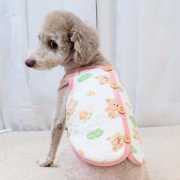 살구조끼