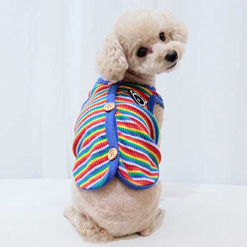 무지개조끼(파랑)