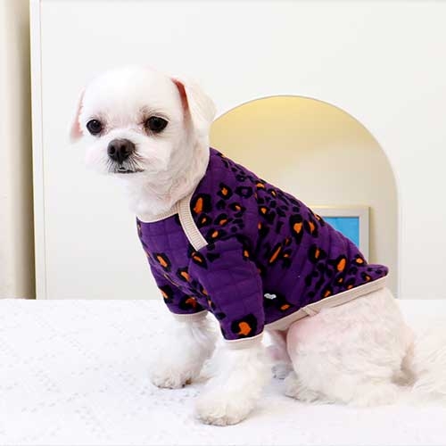 호피티(보라)