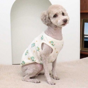 요미조끼(공룡)