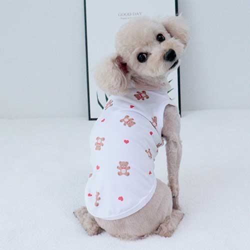 메드쿨티(흰색)