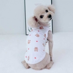 메드쿨티(흰색)