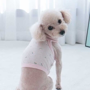 로이꽃 크롭(핑크)