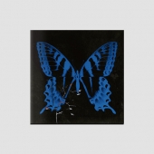 송소희 - EP 1집 공중무용