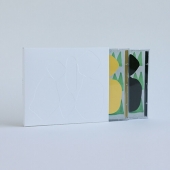 백현진 - 정규앨범 서울식 [2CD]/0