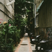 모트 - 잔상