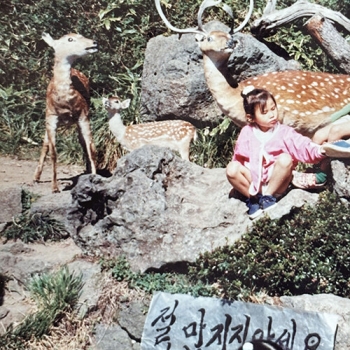이하소 - 지나고 보니 사랑이었던 것들