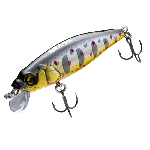 에라 55 607 CHERRY TROUT