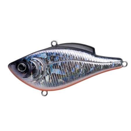 납자루60 629 PRISM SILVER BLACK