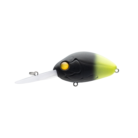 디씨 200 0091 GREEN TAIL BLACK