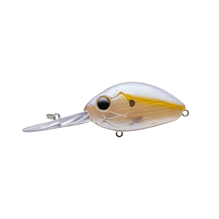 디씨 200 324D REAL SHAD