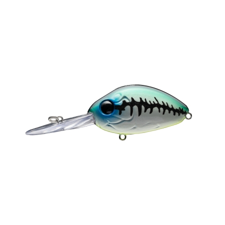 디씨 200 615 BONY BASS