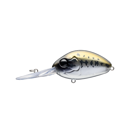 디씨 200 616 SILVER BASS