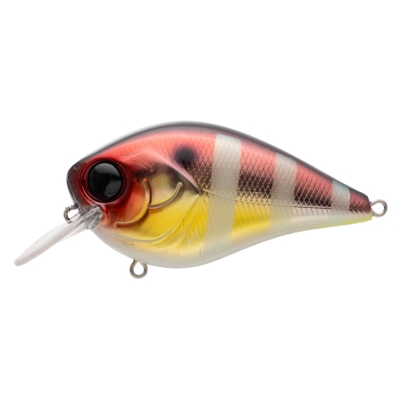 비티씨 60 626 SHINY GILL