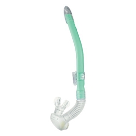 GULL 스테이블 커널 스노쿨