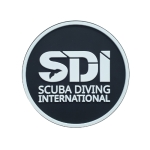 SDI 실리콘 패치