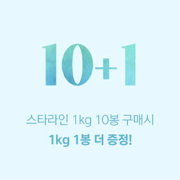스타라인 10+1이벤트배너.jpg