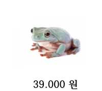 화이트 트리프록 블루폼