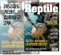 렙타일 매거진 8호