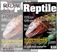 렙타일 매거진 11호