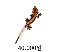 풀 핀스트라이프