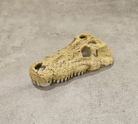 렙티주 크로커다일 스컬 (소,중,대)