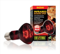 엑소테라 파충류 적외선 스팟램프 50w