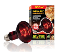 엑소테라 파충류 적외선 스팟램프 100w