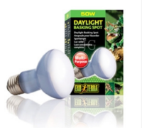 엑소테라 바스킹 스팟램프 50w