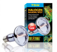 엑소테라 할로겐 스팟램프 75w