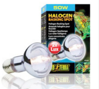 엑소테라 할로겐 스팟램프 50w