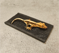 파충류 탈피용 보드 다다미