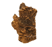 JIF 극사실 코르크튜브